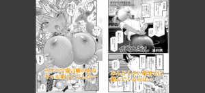 LOE NEXT3無料 無料 サンプル 27